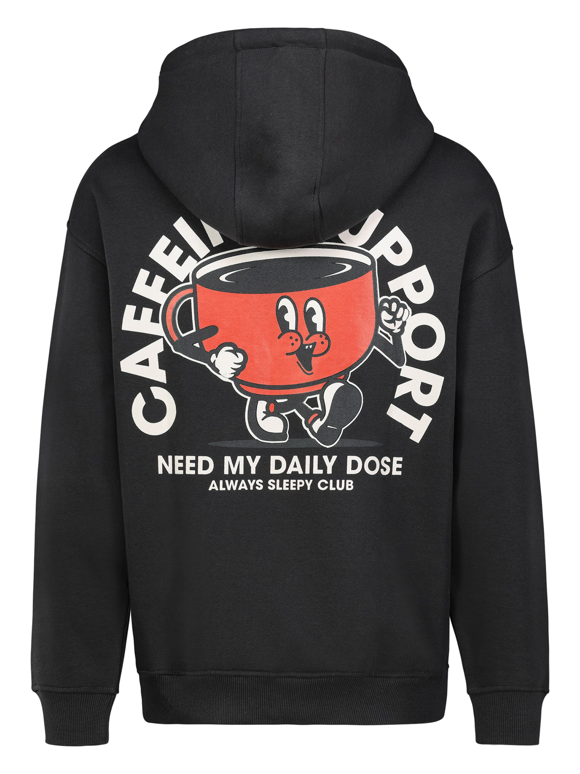 Sublevel Sweatshirt in Grau