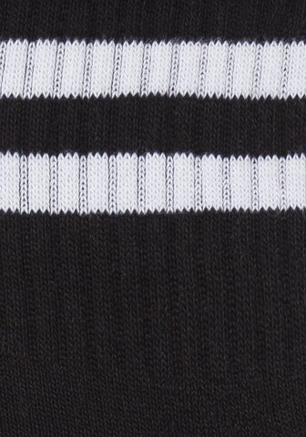 H.I.S Socks in Black