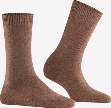 Chaussettes FALKE en marron