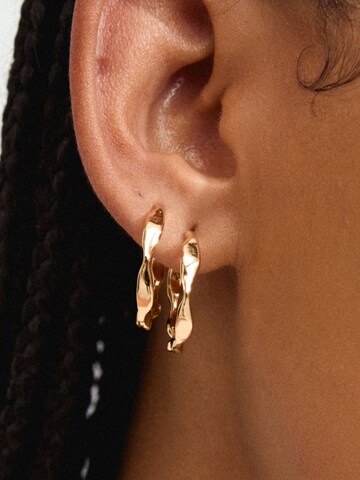 Pilgrim Earrings 'Dawn' in Gold
