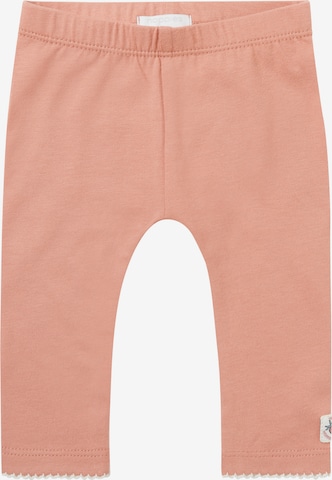 Noppies Regular Leggings 'Needham' in Roze: voorkant