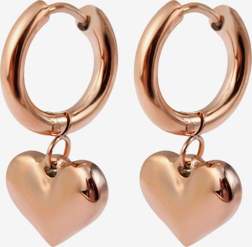 Akzent Earrings 'Feynarie, langlebig' in Gold: front