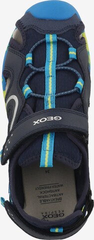 GEOX Open schoenen 'Borealis' in Blauw
