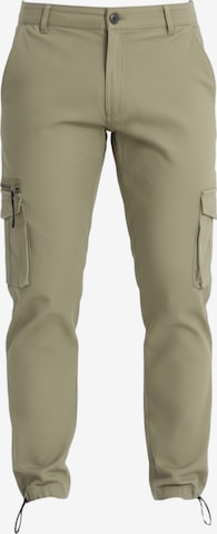 Ombre Trousers in Green: front