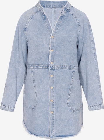 NALLY Mekko 'Fashion Look' värissä sininen: etupuoli