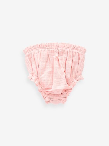Next - Calzoncillo en rosa