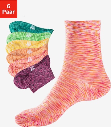 LICO Socks in Mixed colors: front