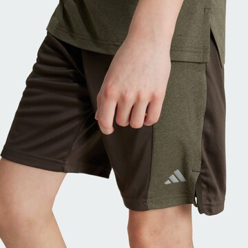 ADIDAS SPORTSWEAR Regular Sportbroek in Groen