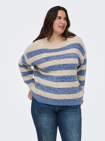 Pull-over 'CARDundee' ONLY Carmakoma en beige : devant