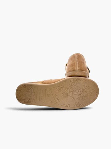 Pisamonas Ballerina‌‌‌‌‌‌‌‌‌ in Beige