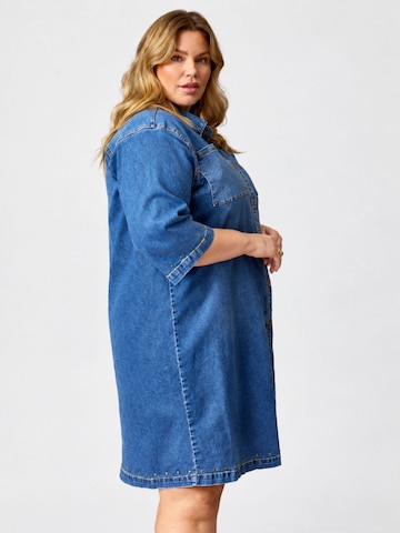 Anyday Dress 'Isla 434' in Blue