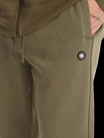 regular Pantaloni sportivi 'DC Shoes Riot' di DC Shoes in verde