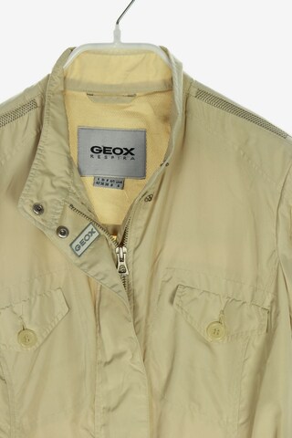 GEOX Jacket & Coat in S in Beige