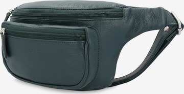 Picard Fanny Pack 'Luis' in Green
