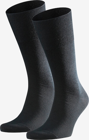 FALKE Socks in Black: front