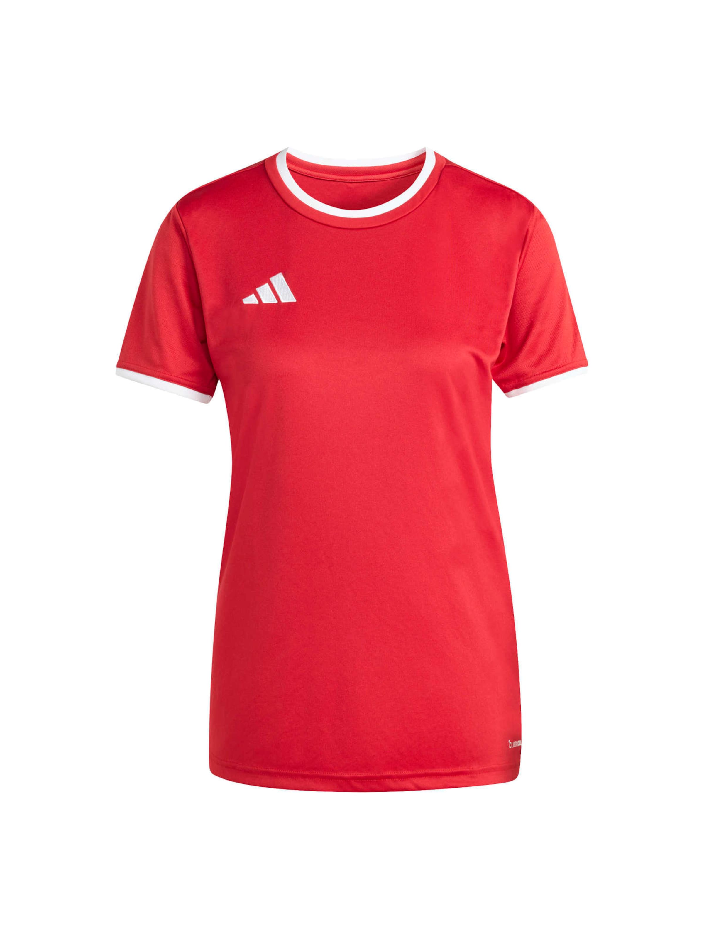 ADIDAS PERFORMANCE Funktionsshirt 'ENT26' in rot / weiß, Produktansicht
