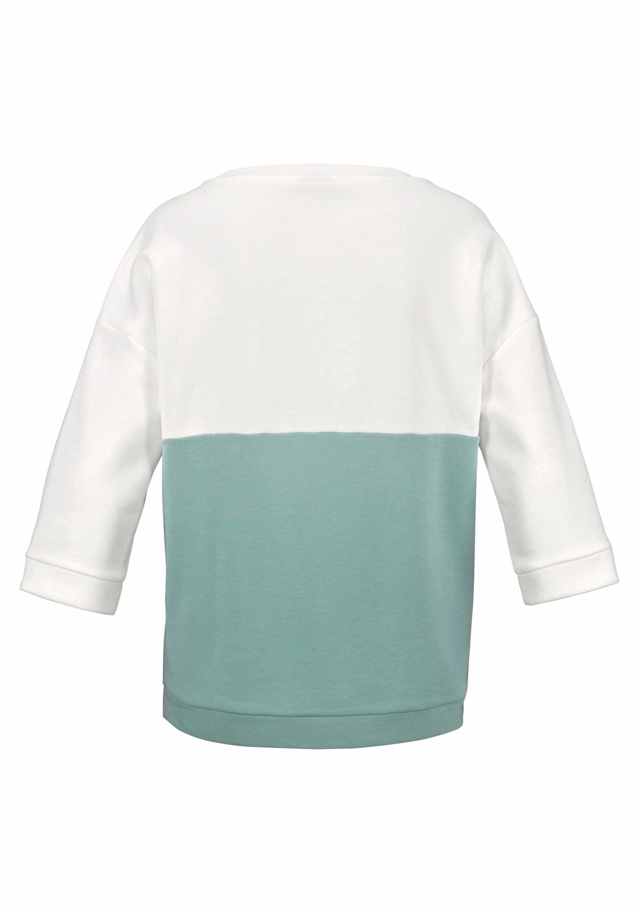 BENCH Sweatshirt in Green