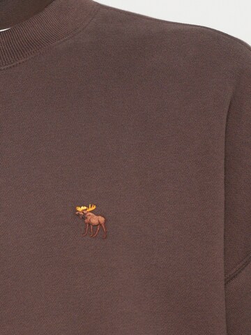 Abercrombie & Fitch Sweatshirt i brun