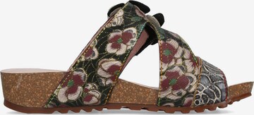 Laura Vita Mules in Mixed colors