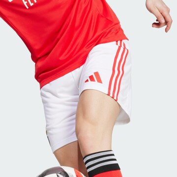Regular Pantalon de sport 'Benfica Lissabon 25/26' ADIDAS PERFORMANCE en blanc