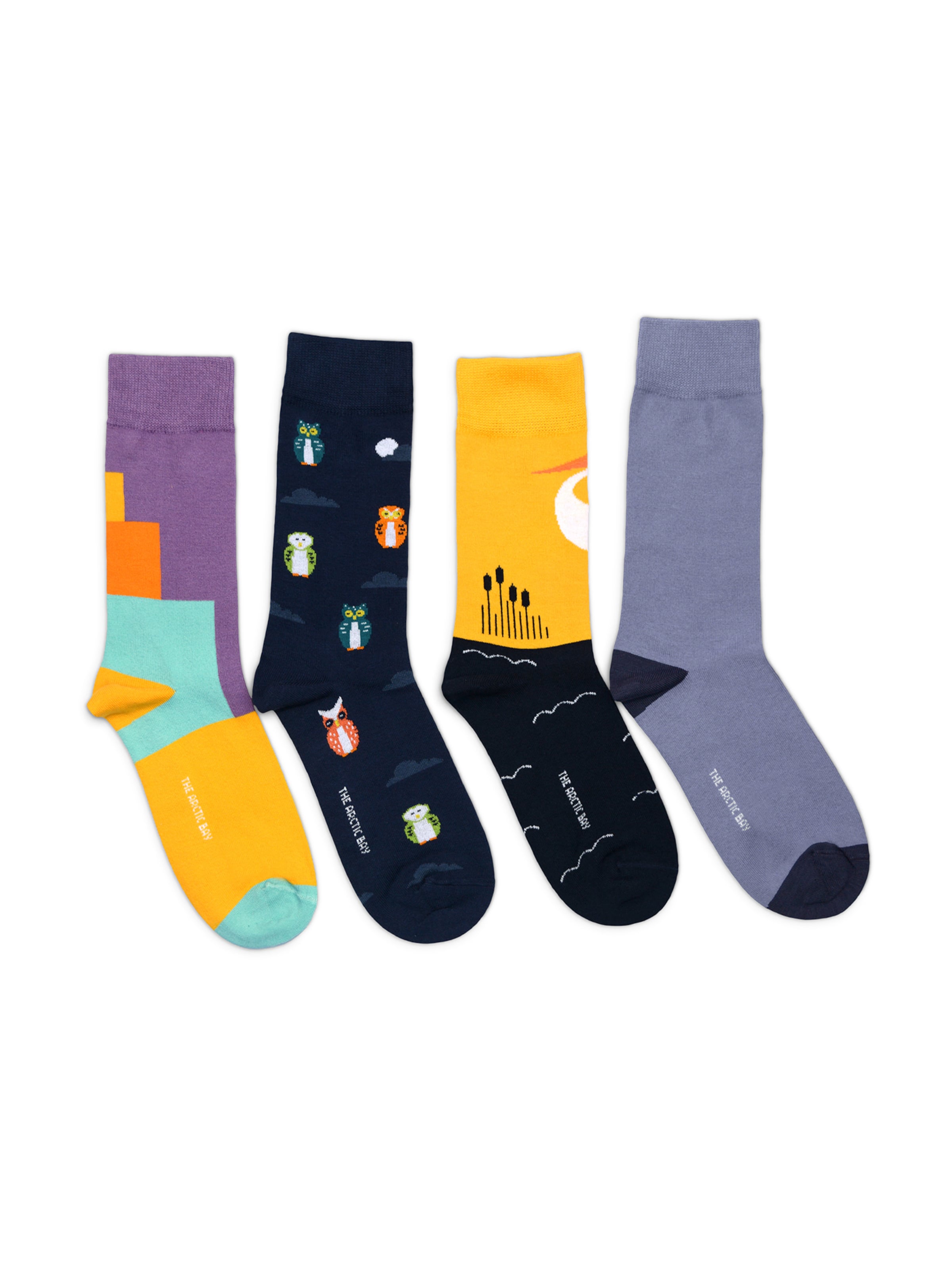 Chaussettes 'ZORA EDITION Gift box 4 Pack Unisex' The Arctic Bay en mélange de couleurs : devant