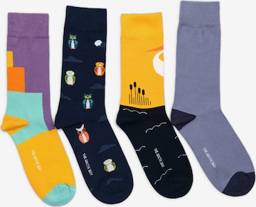 The Arctic Bay - Calcetines 'ZORA EDITION Gift box 4 Pack Unisex' en Mezcla de colores: frente