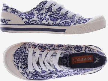 Rocket 2025 dog footwear