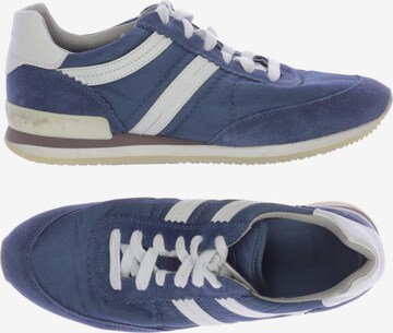 HUGO Sneakers & Trainers in 39 in Blue: front