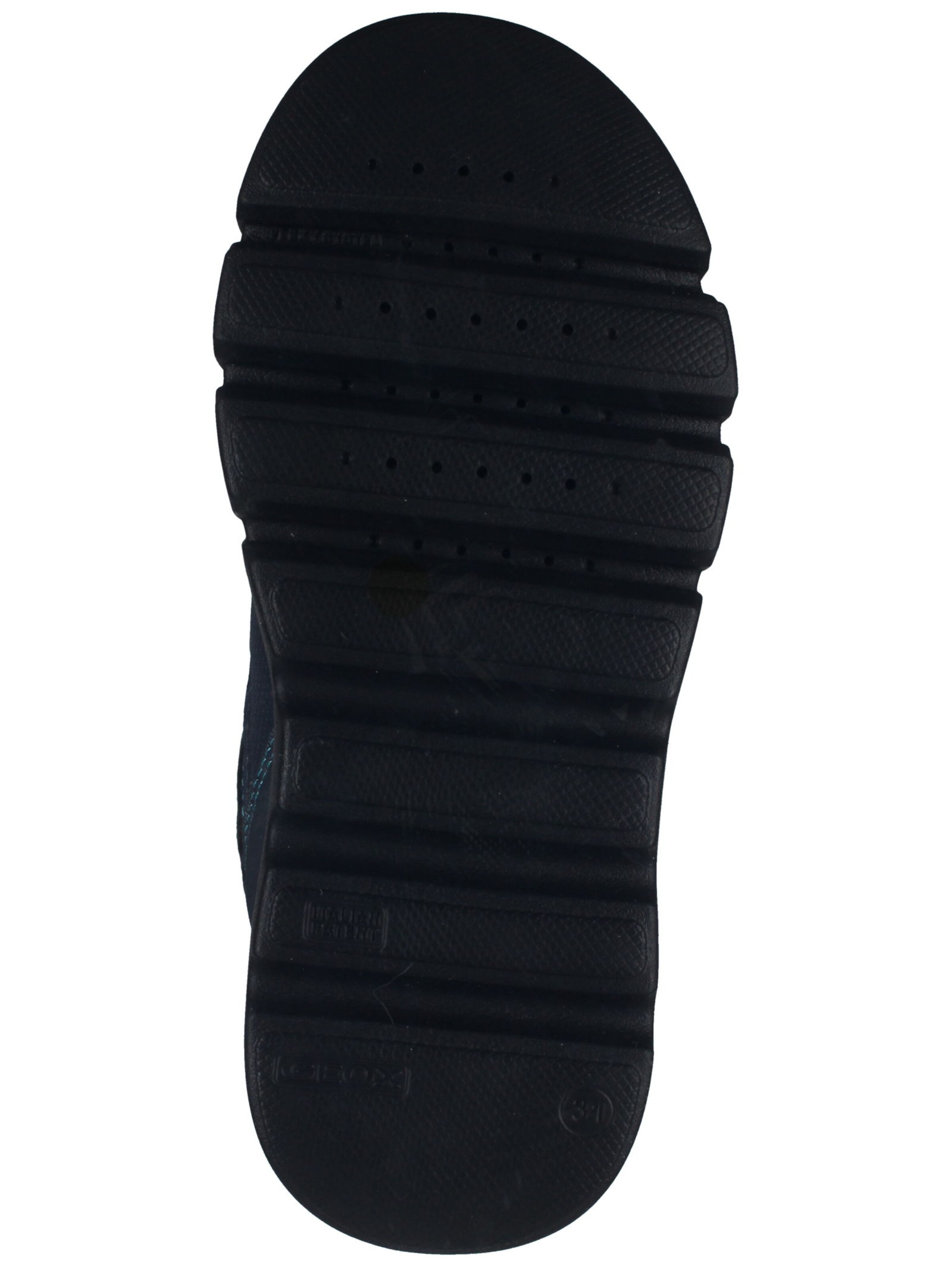 GEOX Laarzen in Blauw