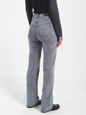 Dr. Denim Slim fit Jeans 'Moxy High Straight' in Grey