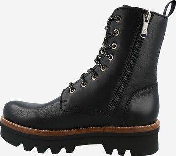 PANAMA JACK - Botines con cordones 'Miren' en negro