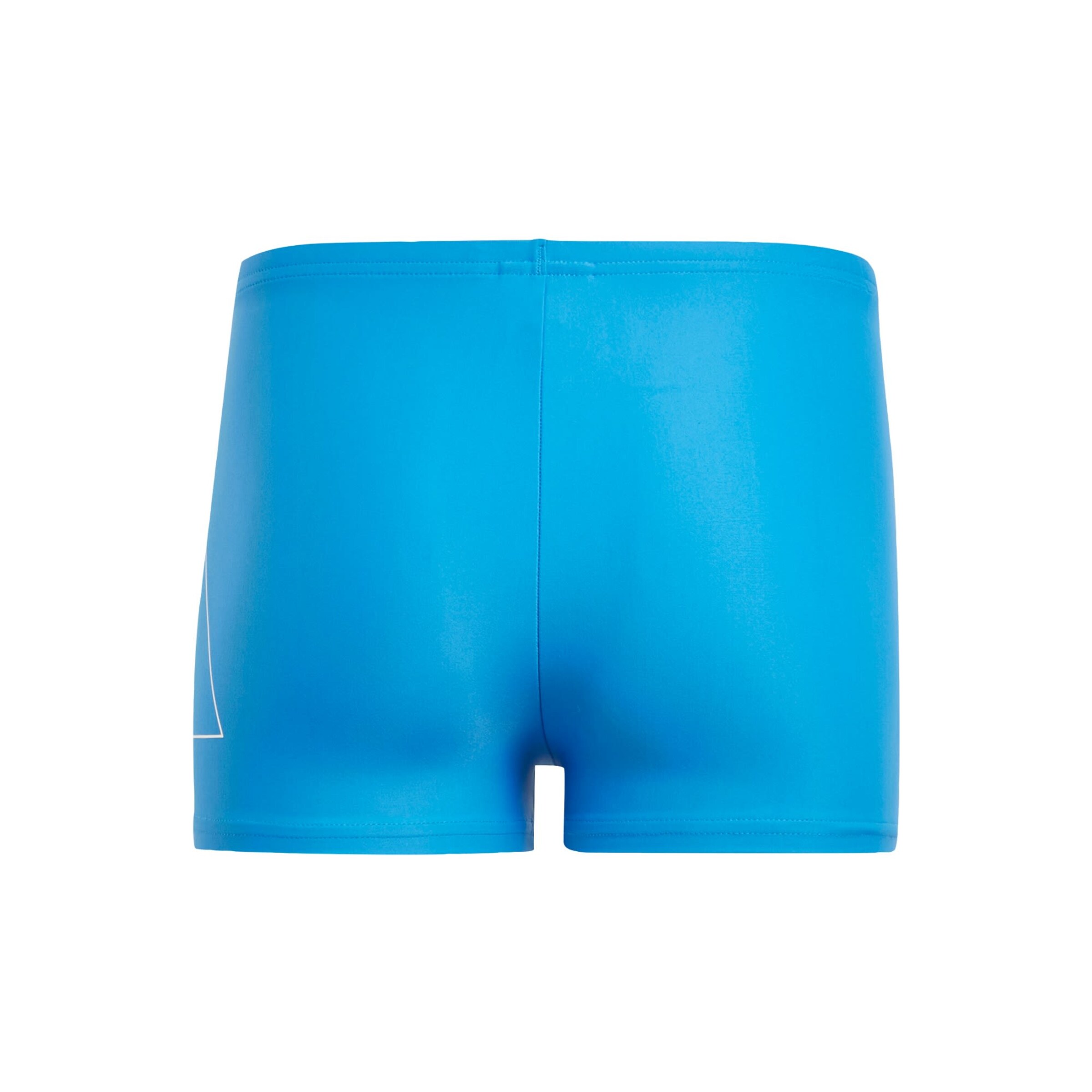 ADIDAS PERFORMANCE Sportbademode 'Performance Big Bars Swim Boxers' in Blau