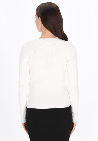 Pull-over usha BLACK LABEL en blanc