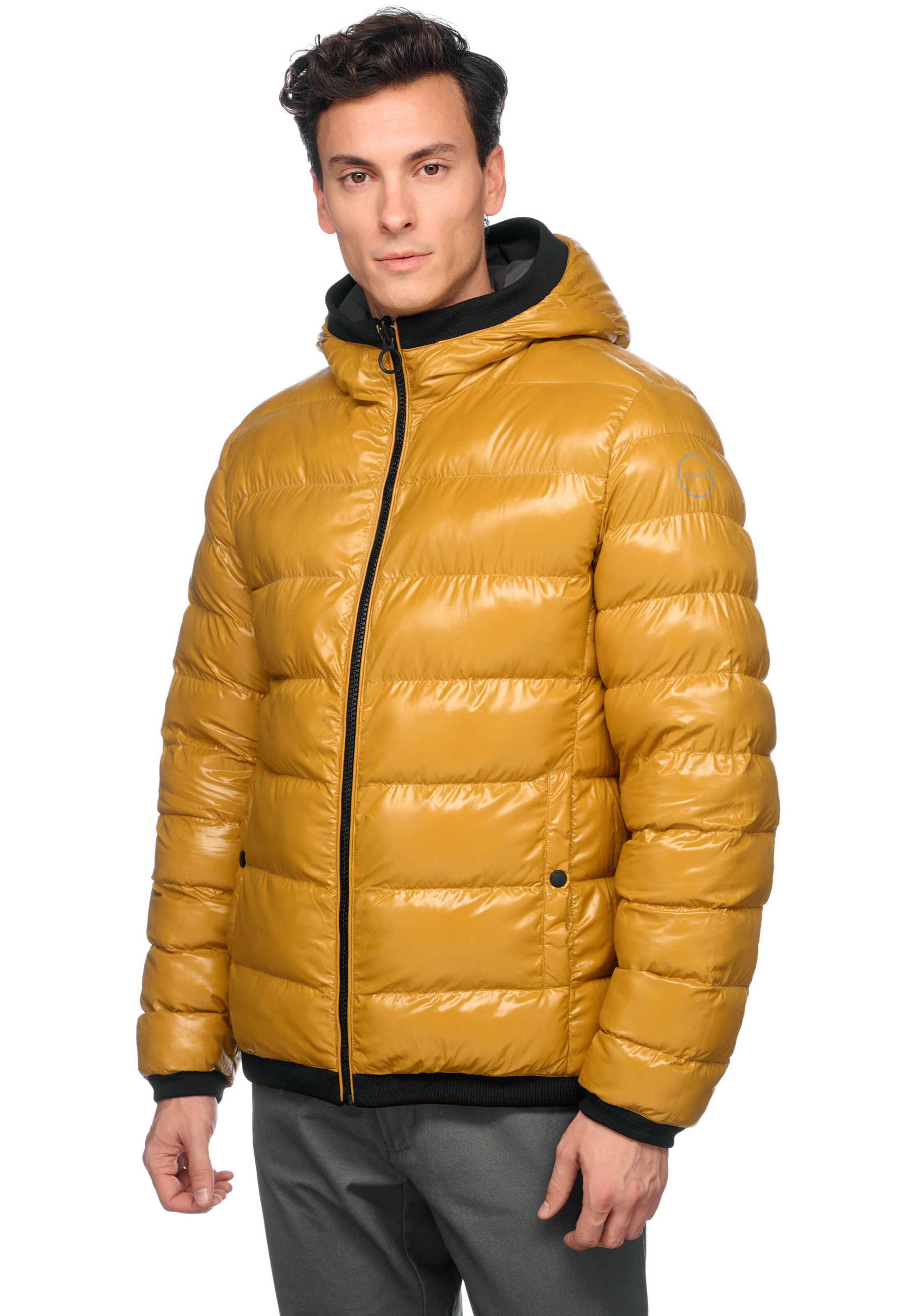 GEOX Winter Jacket in Grey