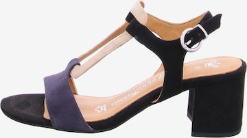 Franz Ferdinand Strap Sandals in Black