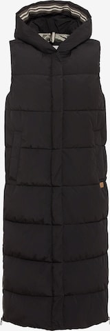 CAMEL ACTIVE Vest in Black: front