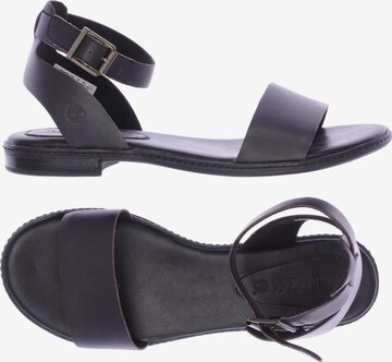 TIMBERLAND Sandals & High-Heeled Sandals in 37 in Black: front