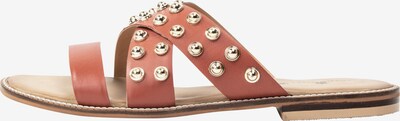 DreiMaster Vintage Natikače s potpeticom u zlatna / ciglasto crvena, Pregled proizvoda