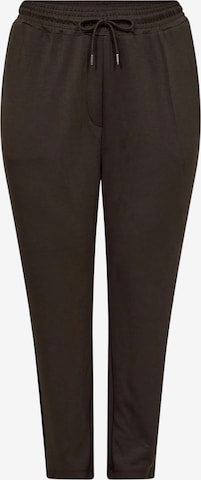 Effilé Pantalon 'Sabina 31' Wasabi Concept en marron : devant