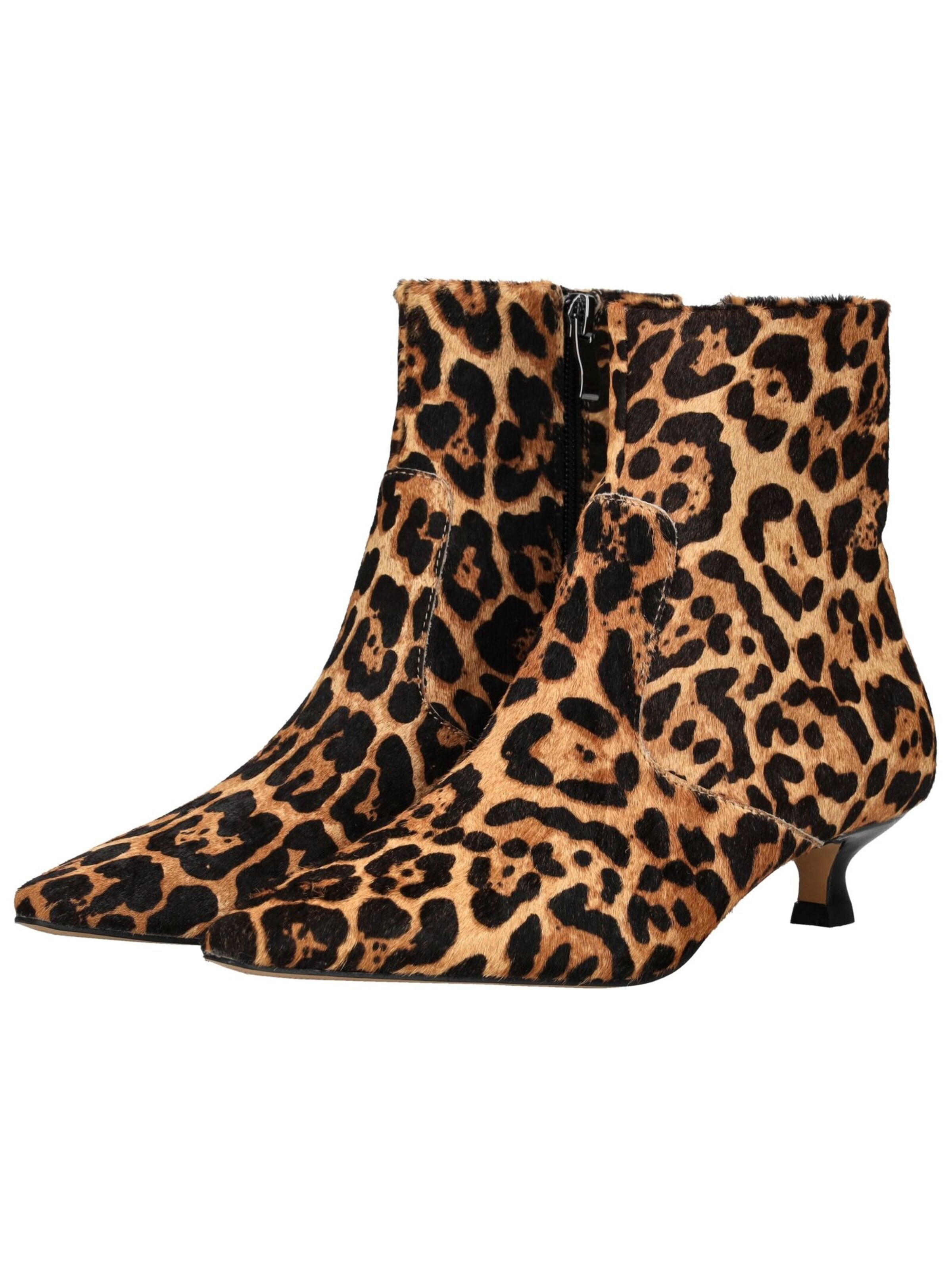 INUOVO Enkellaarsjes in Bruin