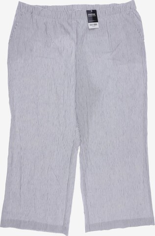 Lands‘ End Pants in 8XL in Grey: front