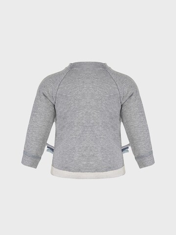 OrganicEra Sweatshirt in Grey