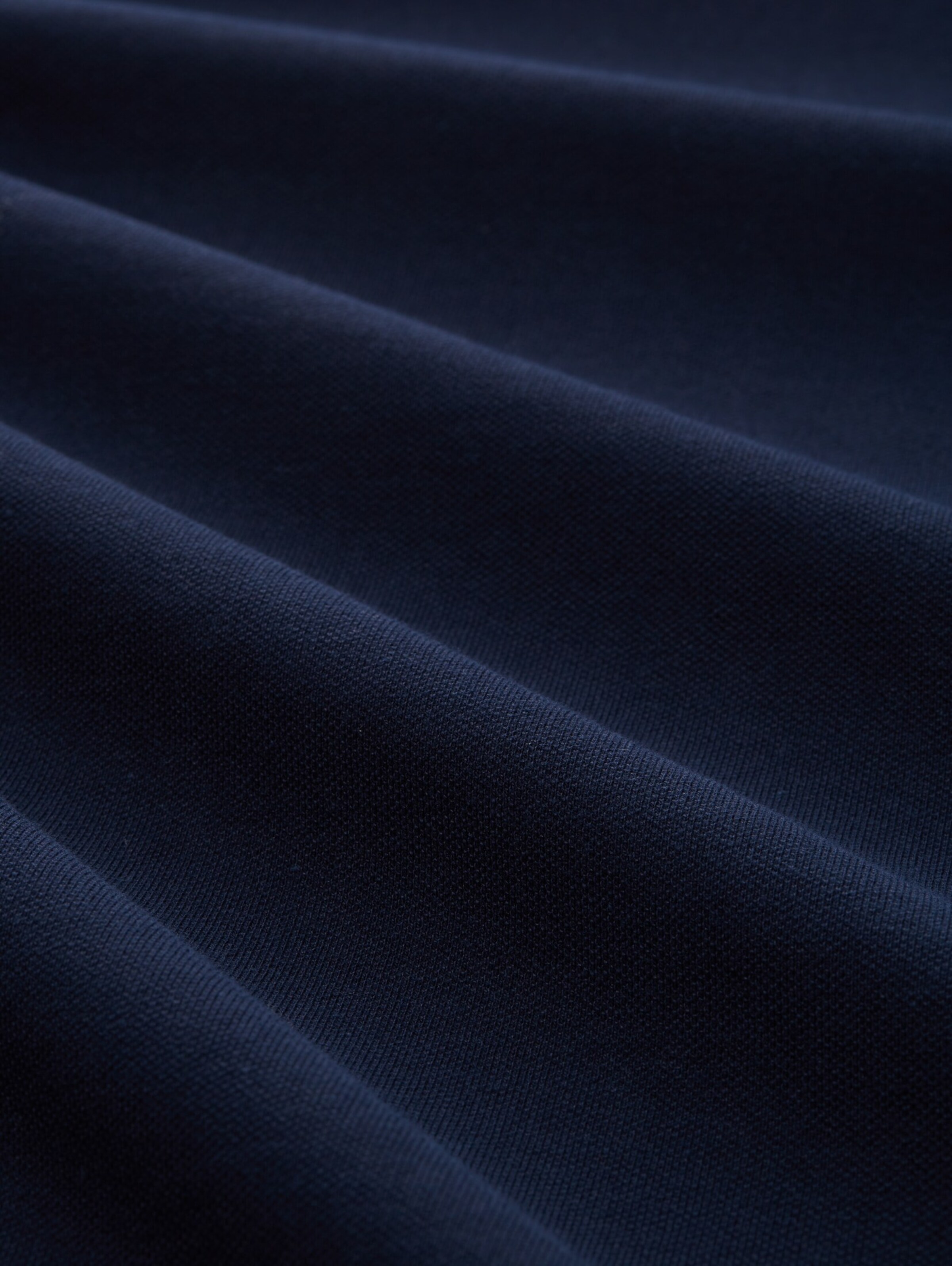 TOM TAILOR Poloshirt in Blau