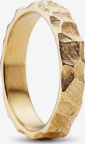 Sidegren Ring 'New Classics' in Gold: front