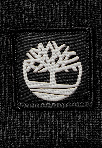 TIMBERLAND Kape | črna barva