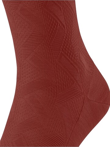 FALKE Socks 'Special Edition' in Red