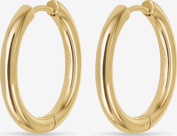 ESPRIT Earrings in Gold: front