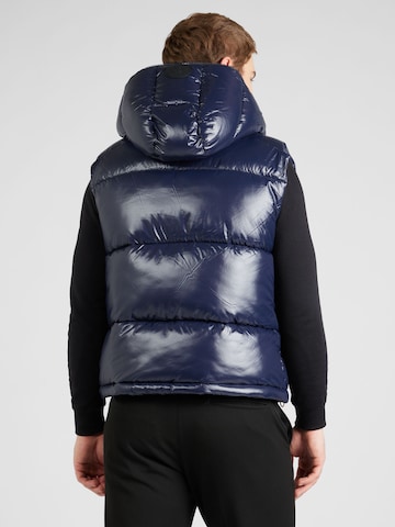 SAVE THE DUCK Bodywarmer 'Dexter' in Blauw