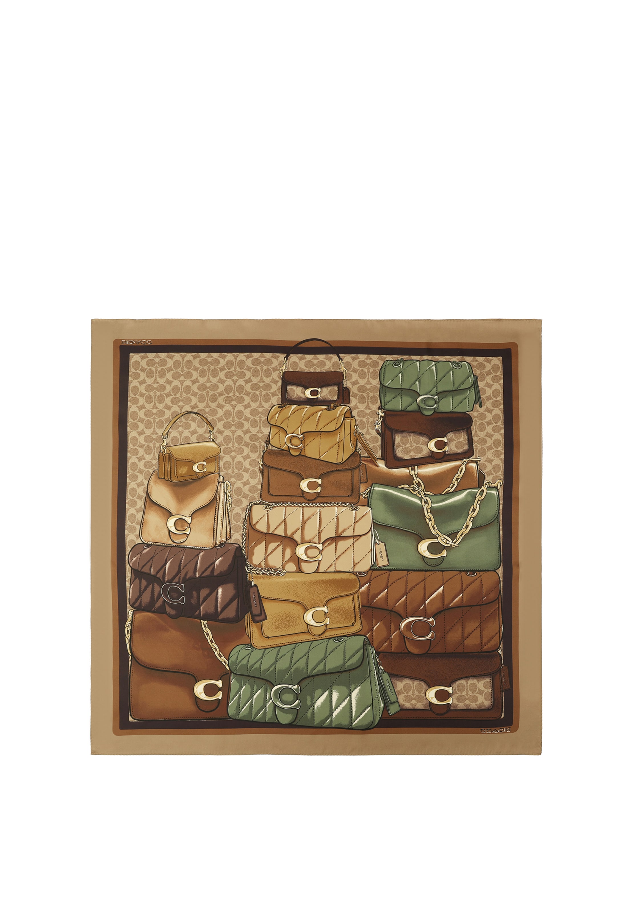 Écharpe COACH en marron : devant