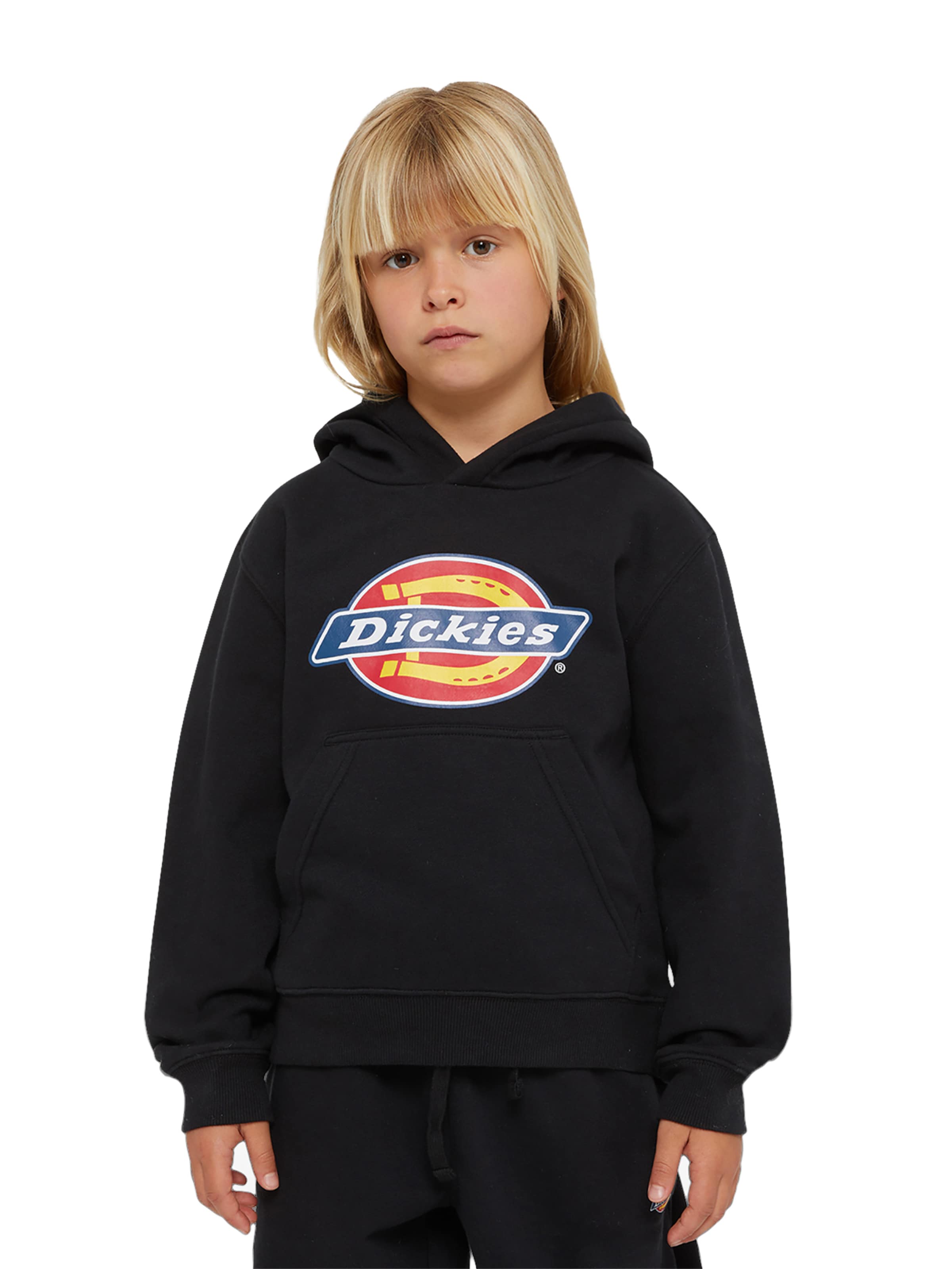 Felpa 'Youth' di DICKIES in nero: frontale